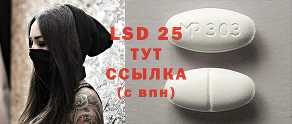 прущие грибы Майский