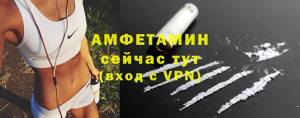 прущие грибы Майский