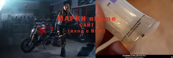 прущие грибы Майский
