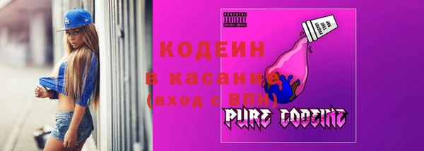 прущие грибы Майский