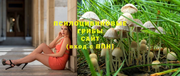 apvp Магадан