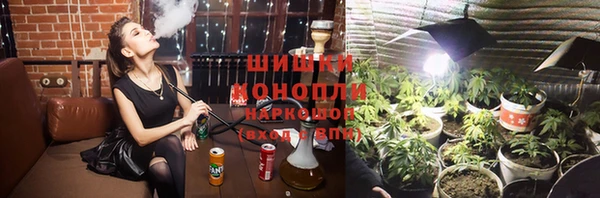 прущие грибы Майский
